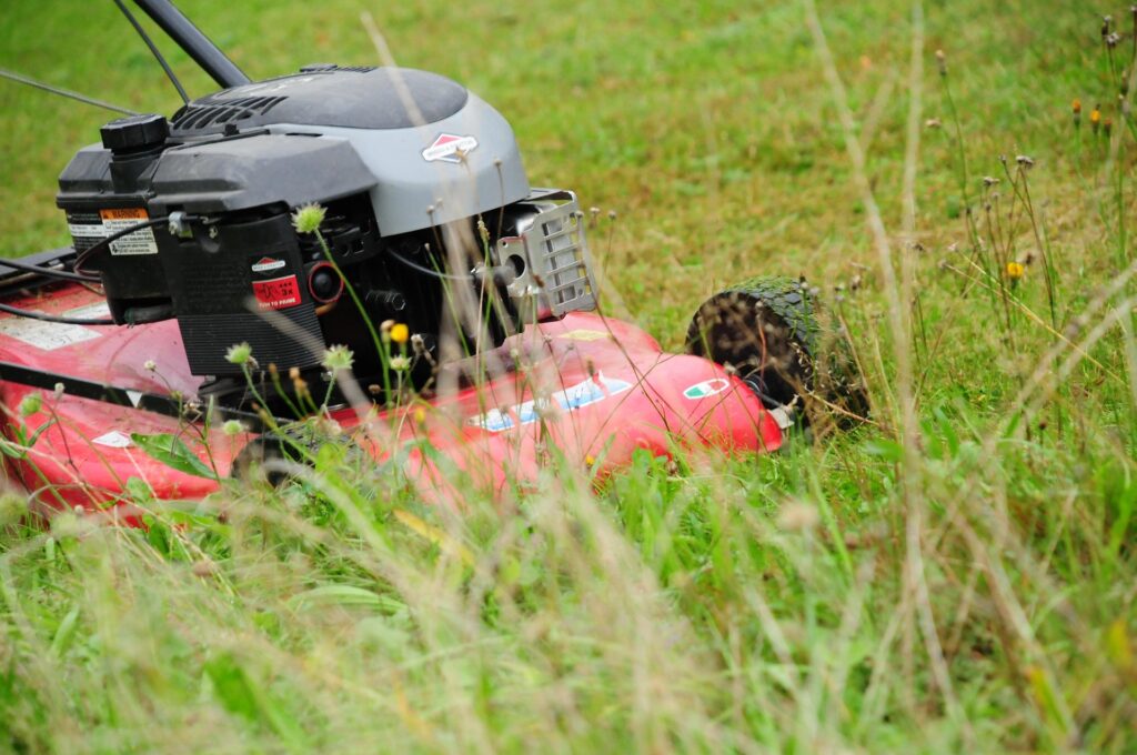 Hexenschuss nach Gartenarbeit: Was jetzt wirklich hilft auf hexenschuss-was-tun.de