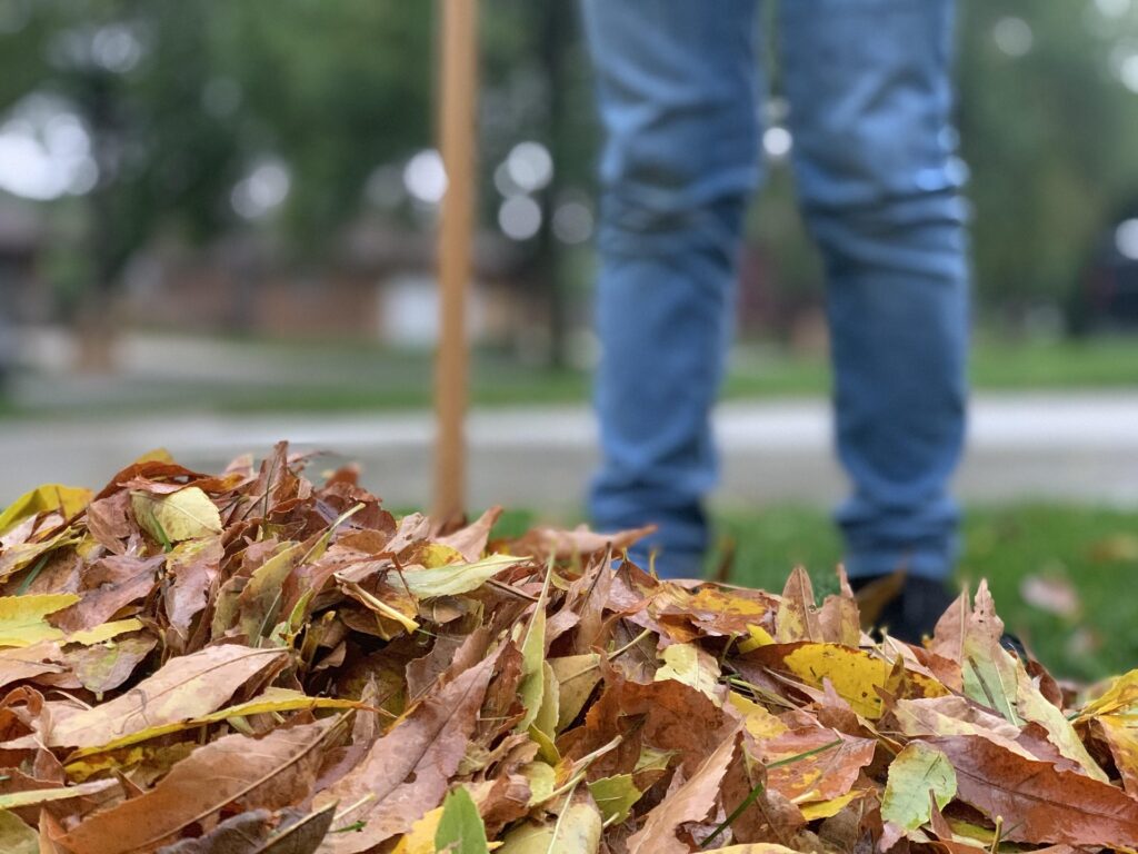 Hexenschuss nach Gartenarbeit: Was jetzt wirklich hilft auf hexenschuss-was-tun.de